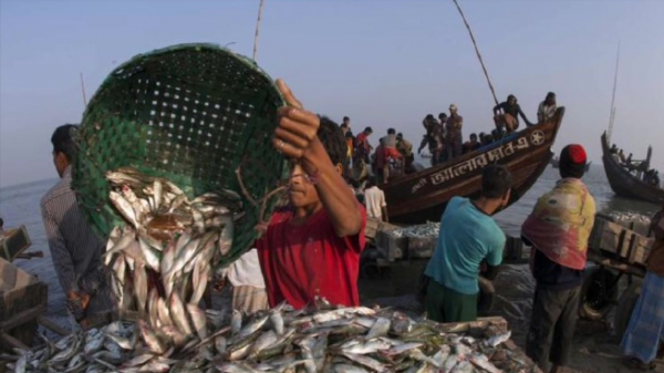 中国舟山渔场建在什么流域