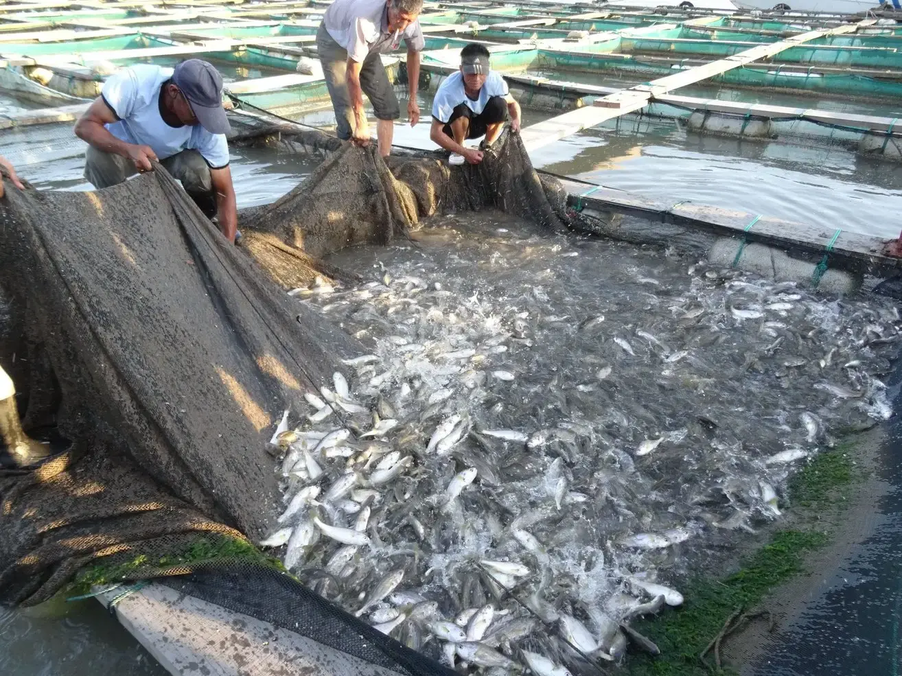 中国舟山渔场建在什么流域