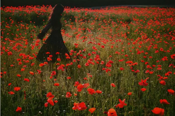 出轨的男人晚上睡觉有哪四个特点