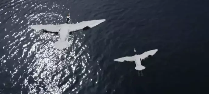 鹤唳华亭大结局解析