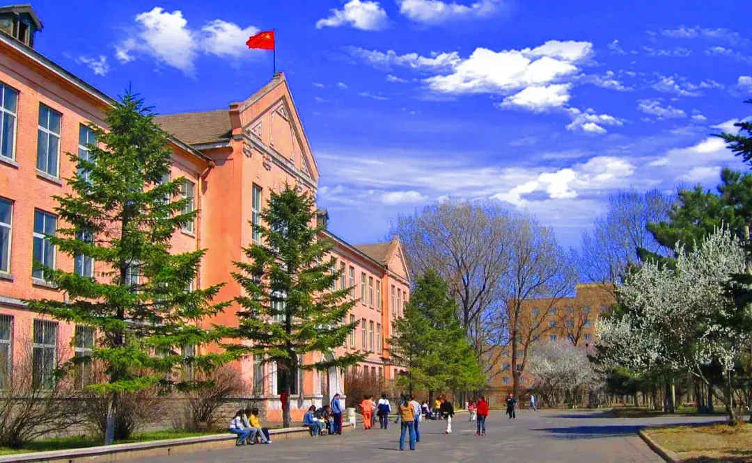 辽宁大学是985还是211院校