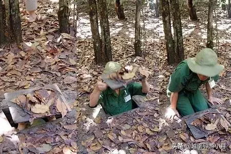 越南旅游景点排名前十