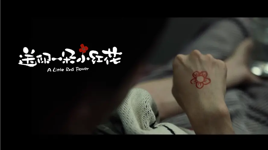 10部哭到崩溃的电影