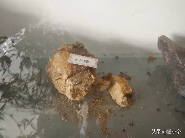 黄金朱泥是什么泥料