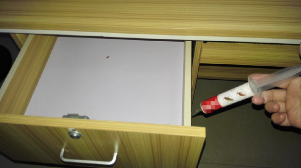 德国小蟑螂怎么消灭最彻底