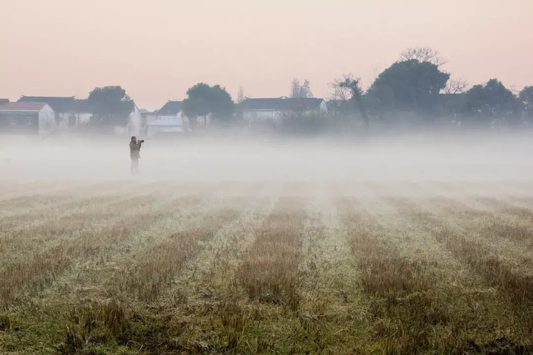 优美现代诗有哪些