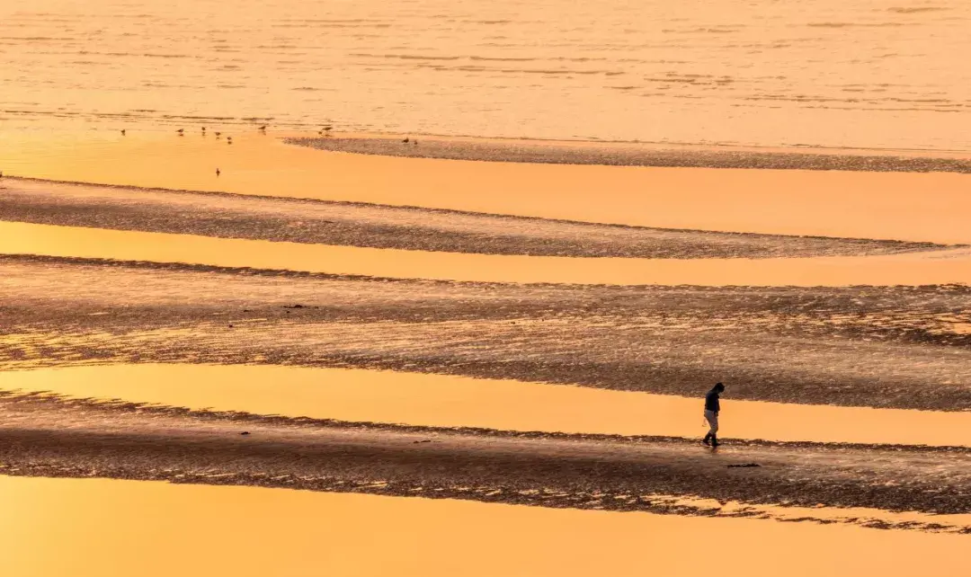 优美现代诗有哪些