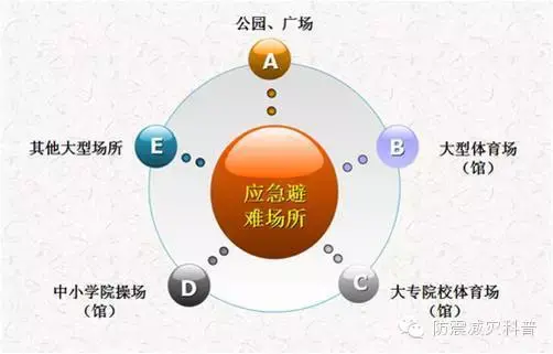 正确的避震姿势有哪些