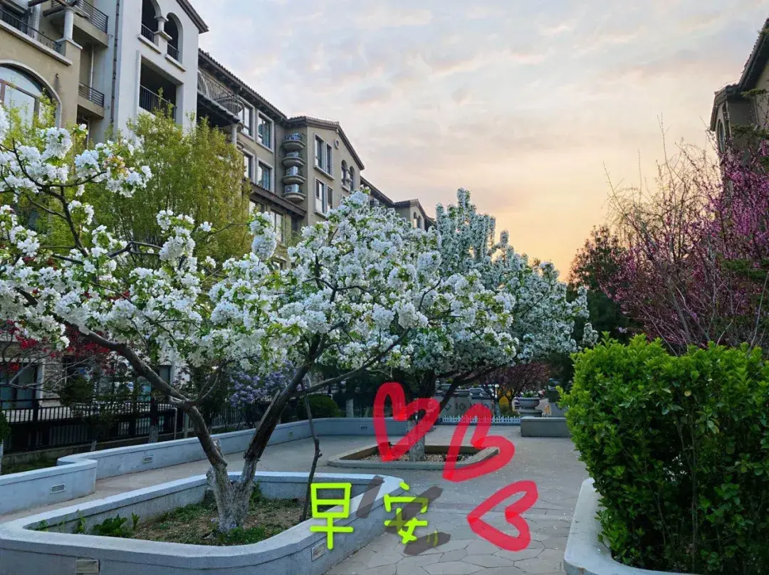 以自我为中心的人是什么人格