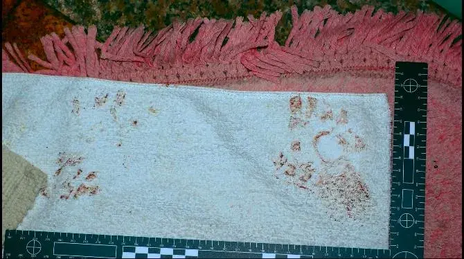 追击者真实案件原型