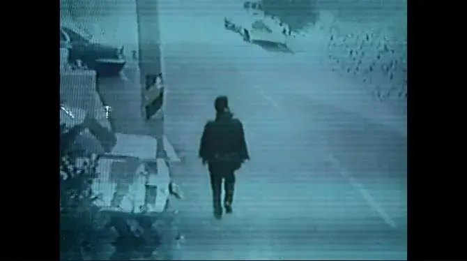 追击者真实案件原型