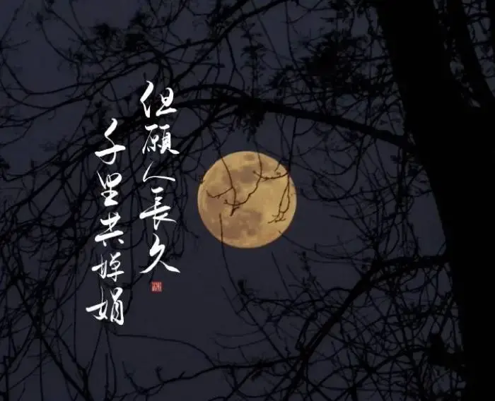 但愿人长久千里共婵娟什么意思