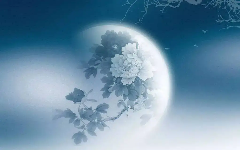 但愿人长久千里共婵娟什么意思