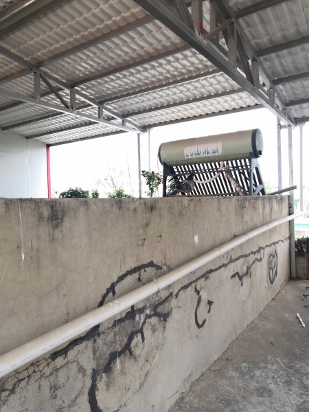 家里来蜜蜂是什么预兆