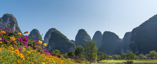 20元人民币背景是桂林的哪个景点