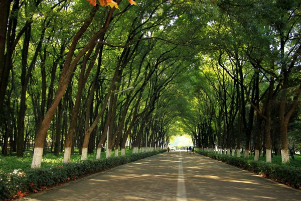 华中科技大学怎么样