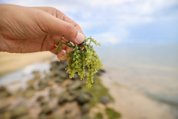 中国大陆最南端是哪里