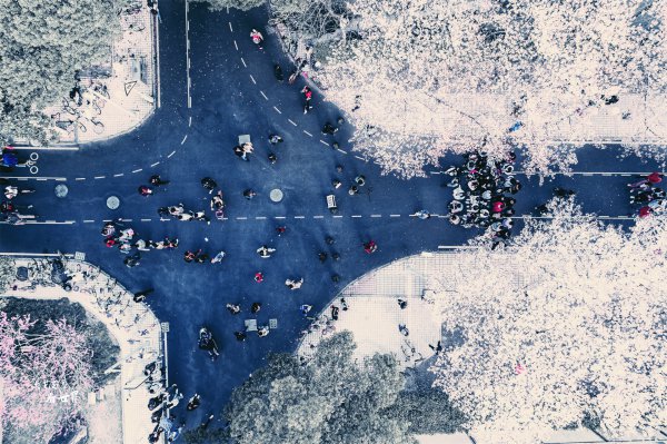 中国最美大学有哪些