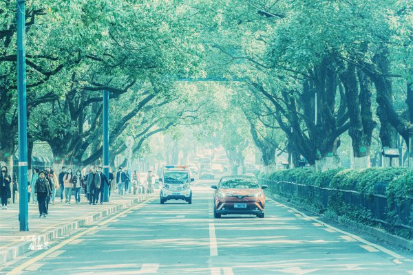 中国最美大学有哪些