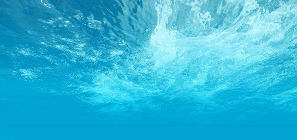 海鱼有寄生虫吗