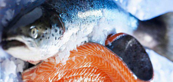 海鱼有寄生虫吗