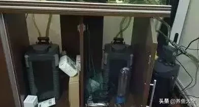 鱼缸水浑浊原因和解决方案