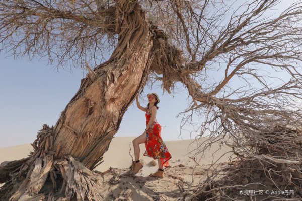 最适合旅行中国沙漠排名