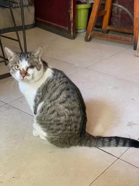 一般律师年薪大概是多少