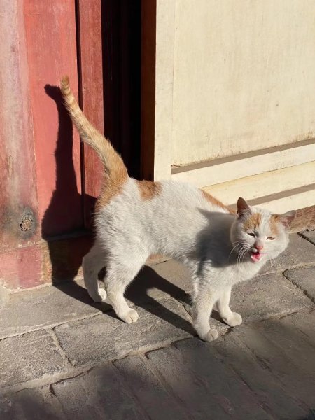 一般律师年薪大概是多少