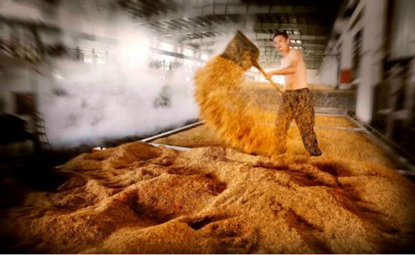 西凤酒和汾酒哪个好