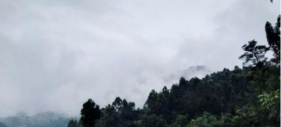 沙湾旅游景点有哪些