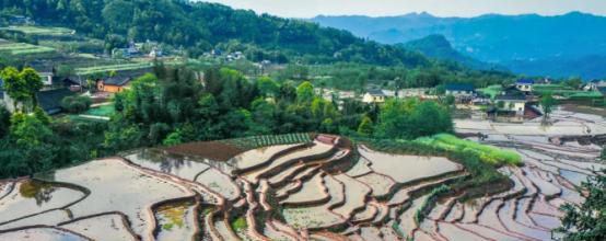 沙湾旅游景点有哪些