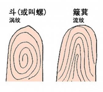 为什么说女人十个簸箕稀世之象 簸箕和斗有什么区别呢