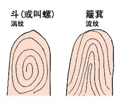 为什么说女人十个簸箕稀世之象