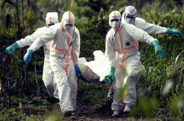 世界上最强的病毒叫什么名字