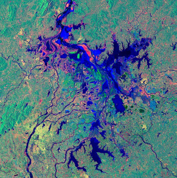 纯野生鲫鱼最大能长多少斤