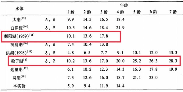 纯野生鲫鱼最大能长多少斤