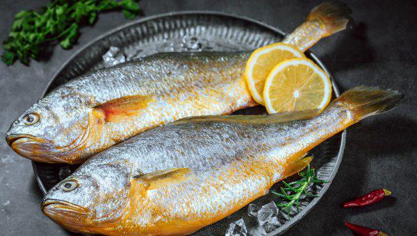 大黄鱼和小黄鱼的区别