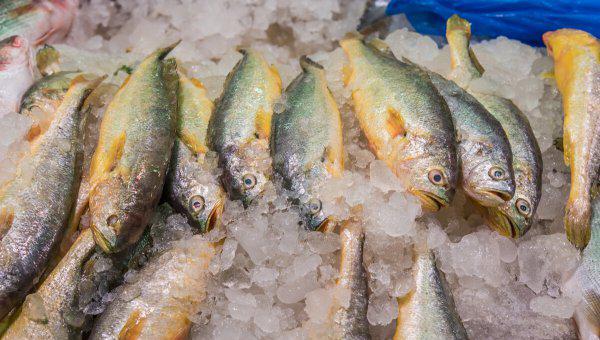 大黄鱼和小黄鱼的区别