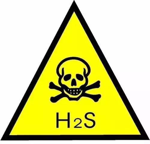 鱼有鼻子吗有什么作用呢