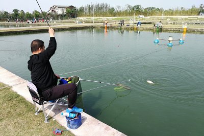 钓鱼小药真的有效果吗 市面上钓鱼小药真的那么神奇吗