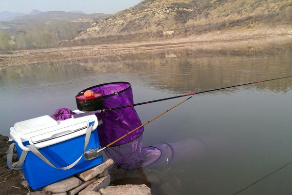 钓鱼小药真的有效果吗