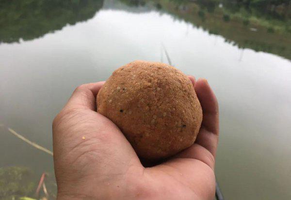 专攻大鲤鱼的饵料配方