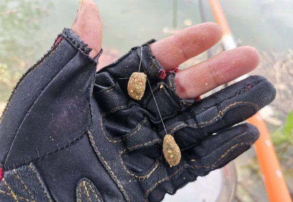 专攻大鲤鱼的饵料配方