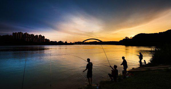 晚上钓鲫鱼钓深还是浅