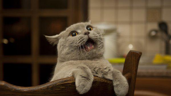 流量用超了怎么收费的