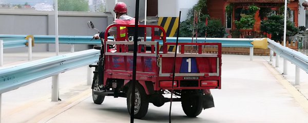 驾驶证d证能开什么车