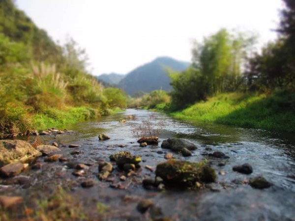 马口鱼怎么钓两种钓法