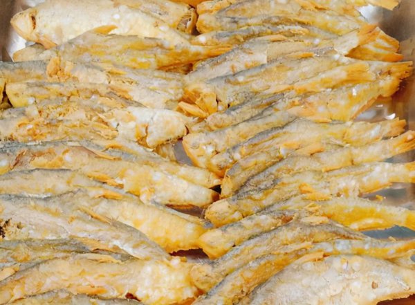 马口鱼怎么钓两种钓法