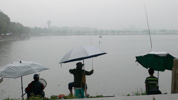 野钓什么天气鱼开口